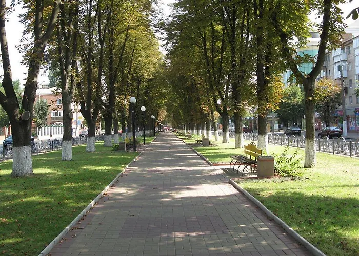 Неймовірно Затишна Студія У Центрі Міста Біля Лікарні Імені Пирогова