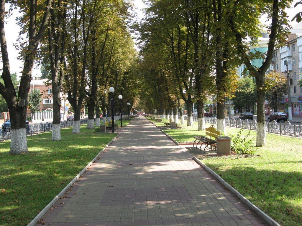 Apartment неймовірно затишна студія у центрі міста біля лікарні імені пирогова Vinnytsia